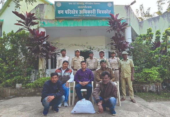 पेंगोलिन तस्करों पर कसा शिकंजा, तीन पकड़ाए, 43 किलो स्केल्स बरामद